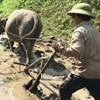 Giáo án mầm non: Khám phá công việc bác nông dân