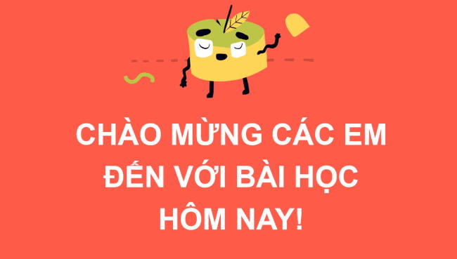 PowerPoint Khoa học tự nhiên 6 Bài 15