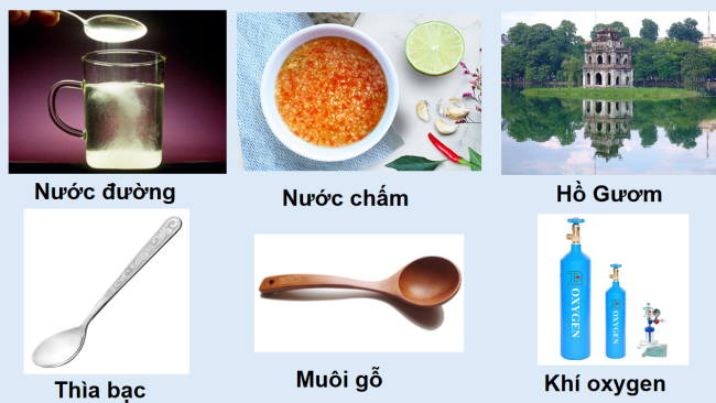 PowerPoint Khoa học tự nhiên 6 Bài 16