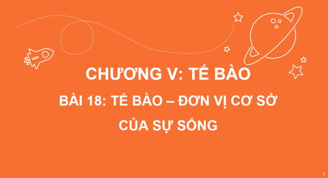 PowerPoint Khoa học tự nhiên 6 Bài 18