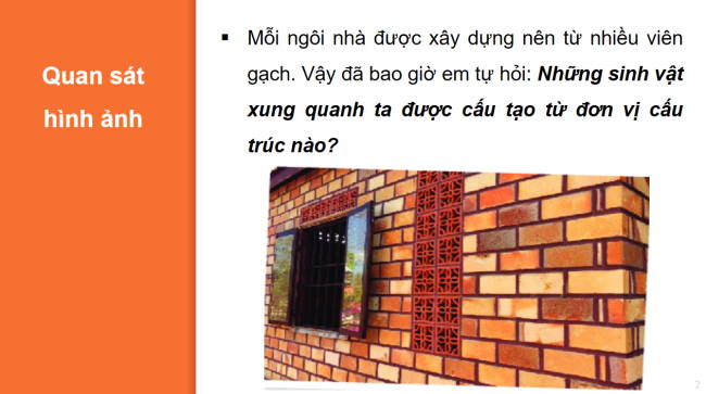 PowerPoint Khoa học tự nhiên 6 Bài 18