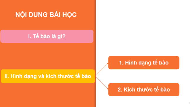 PowerPoint Khoa học tự nhiên 6 Bài 18