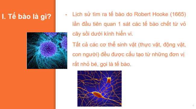 PowerPoint Khoa học tự nhiên 6 Bài 18