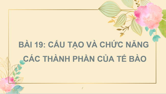 PowerPoint Khoa học tự nhiên 6 Bài 19