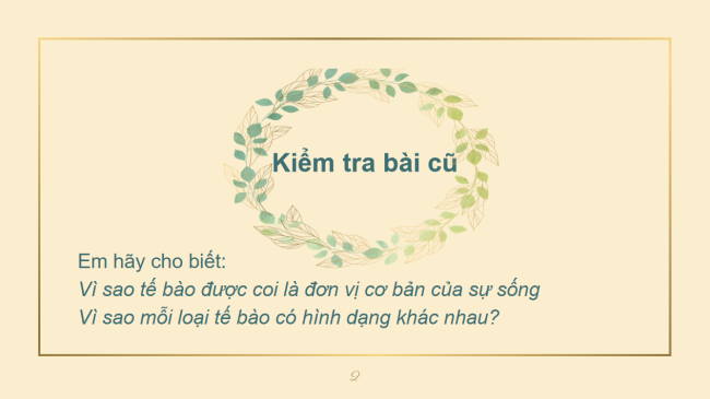 PowerPoint Khoa học tự nhiên 6 Bài 19