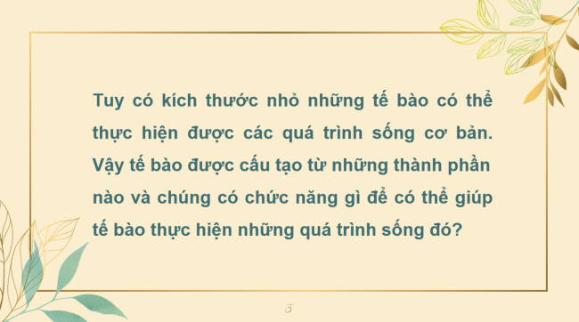 PowerPoint Khoa học tự nhiên 6 Bài 19
