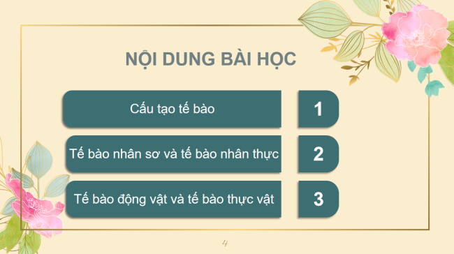 PowerPoint Khoa học tự nhiên 6 Bài 19