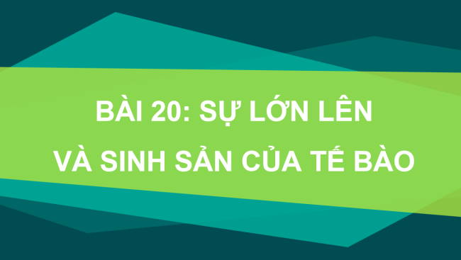PowerPoint Khoa học tự nhiên 6 Bài 20