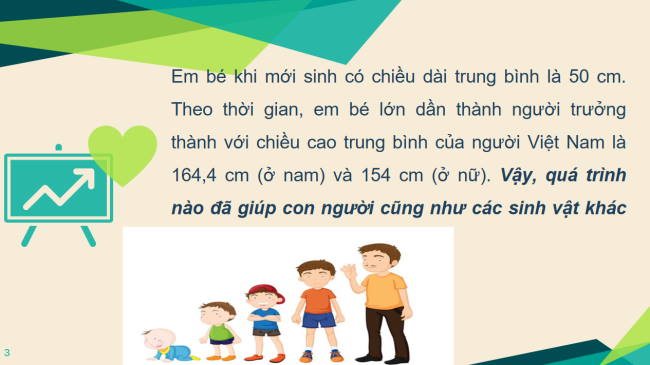 PowerPoint Khoa học tự nhiên 6 Bài 20