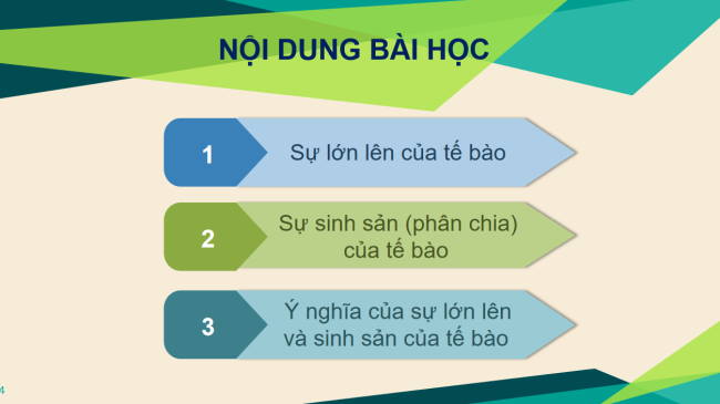 PowerPoint Khoa học tự nhiên 6 Bài 20