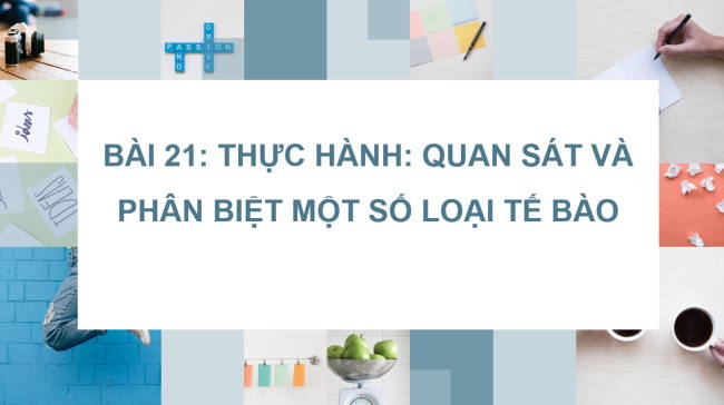 PowerPoint Khoa học tự nhiên 6 Bài 21