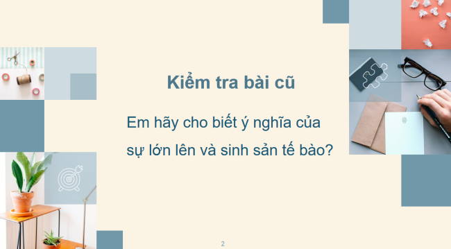 PowerPoint Khoa học tự nhiên 6 Bài 21