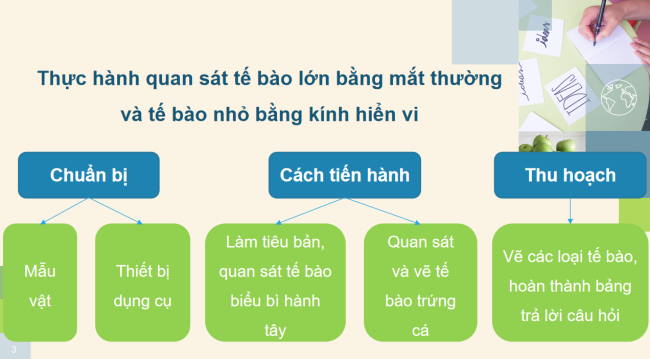 PowerPoint Khoa học tự nhiên 6 Bài 21