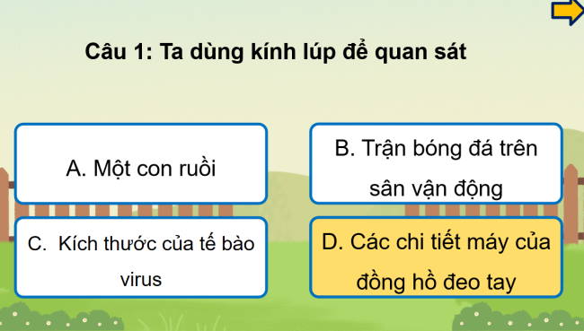 Game khởi động Khoa học tự nhiên 6 Bài 3