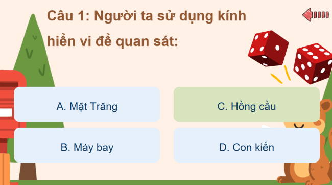 Game khởi động Khoa học tự nhiên 6 Bài 4