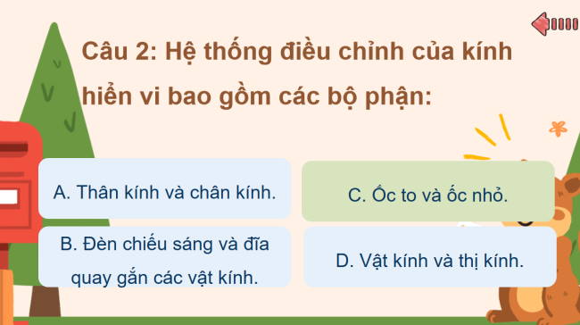 Game khởi động Khoa học tự nhiên 6 Bài 4