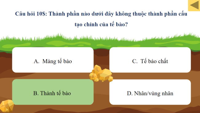 Game khởi động Khoa học tự nhiên 6 Bài 19