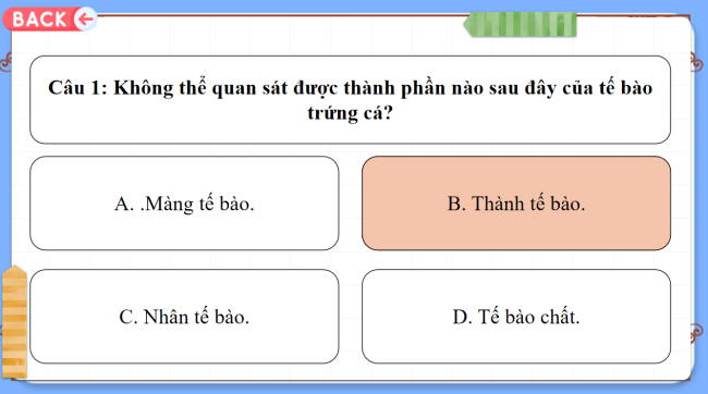 Game khởi động Khoa học tự nhiên 6 Bài 21
