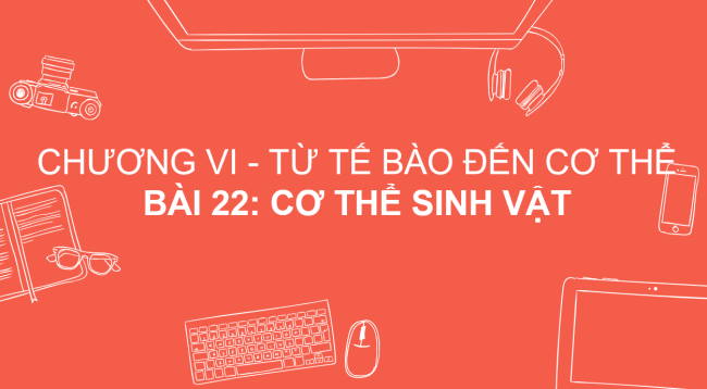 PowerPoint Khoa học tự nhiên 6 Bài 22