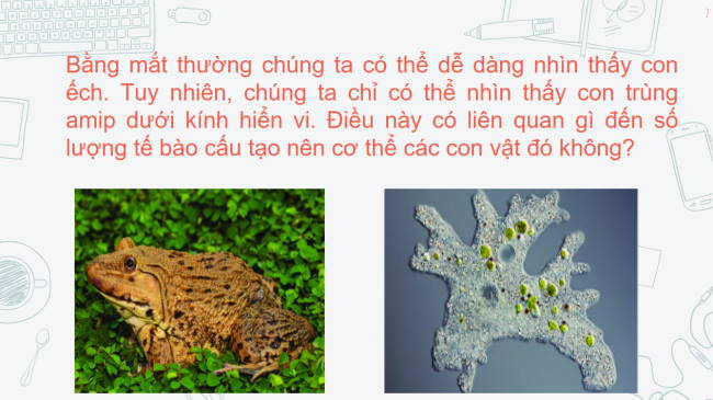 PowerPoint Khoa học tự nhiên 6 Bài 22