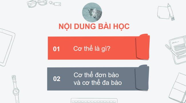 PowerPoint Khoa học tự nhiên 6 Bài 22