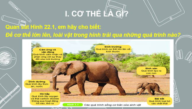 PowerPoint Khoa học tự nhiên 6 Bài 22