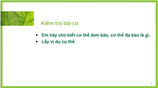 PowerPoint Khoa học tự nhiên 6 Bài 23