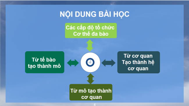 PowerPoint Khoa học tự nhiên 6 Bài 23