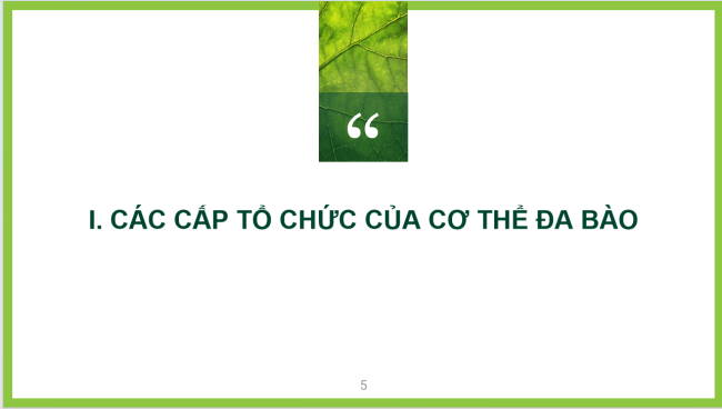 PowerPoint Khoa học tự nhiên 6 Bài 23
