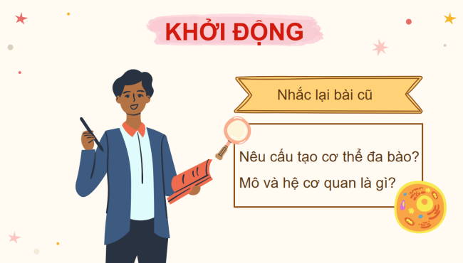 PowerPoint Khoa học tự nhiên 6 Bài 24