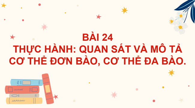 PowerPoint Khoa học tự nhiên 6 Bài 24