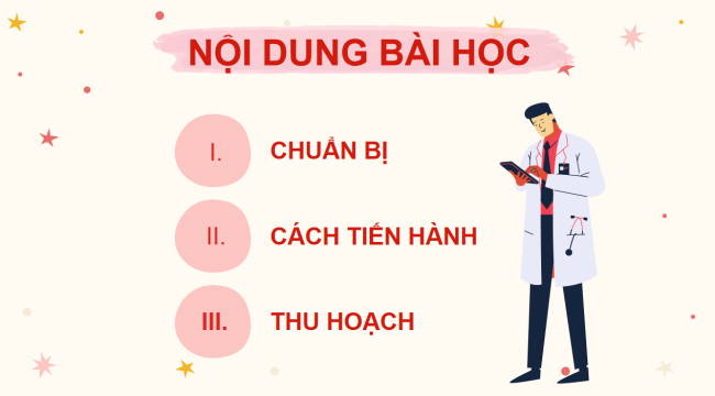 PowerPoint Khoa học tự nhiên 6 Bài 24