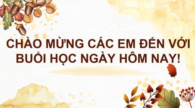 PowerPoint Khoa học tự nhiên 6 Bài 26