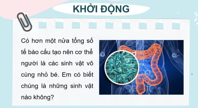PowerPoint Khoa học tự nhiên 6 Bài 27
