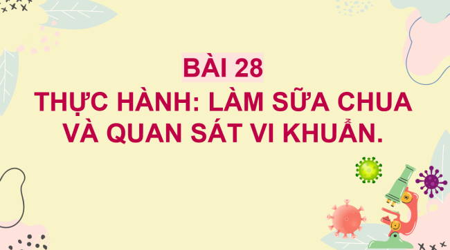 PowerPoint Khoa học tự nhiên 6 Bài 28