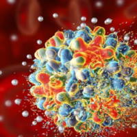 PowerPoint Khoa học tự nhiên 6 Bài 29: Virus