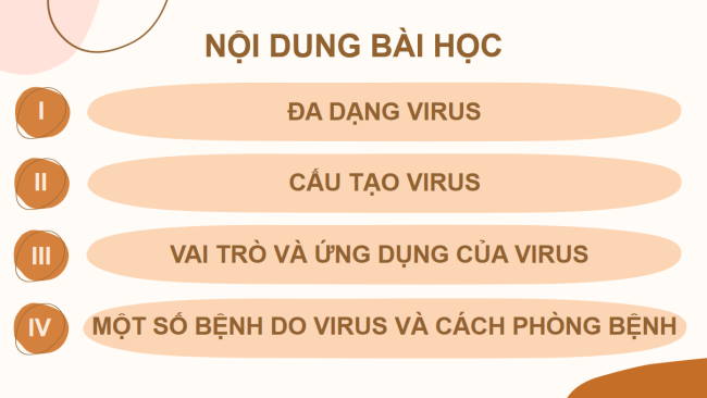 PowerPoint Khoa học tự nhiên 6 Bài 29