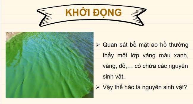 PowerPoint Khoa học tự nhiên 6 Bài 30