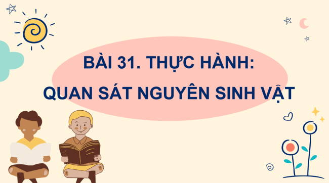 PowerPoint Khoa học tự nhiên 6 Bài 31
