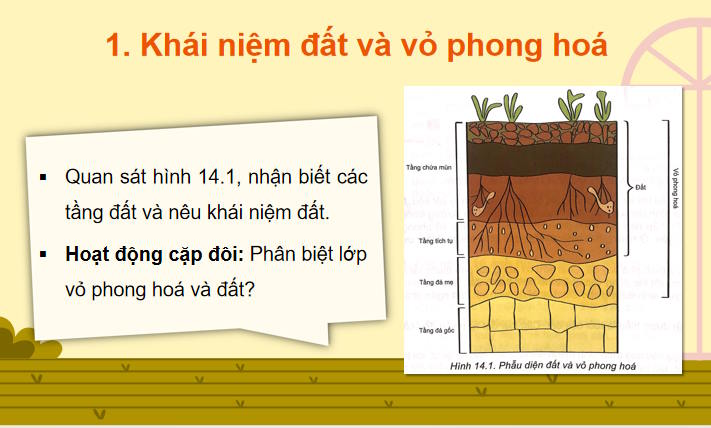 PowerPoint Địa lí 10 Bài 14