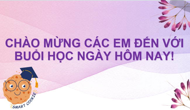 PowerPoint Khoa học tự nhiên 6 Bài 33