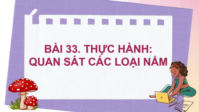 PowerPoint Khoa học tự nhiên 6 Bài 33