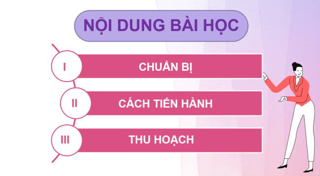 PowerPoint Khoa học tự nhiên 6 Bài 33