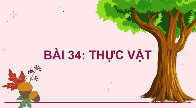 PowerPoint Khoa học tự nhiên 6 Bài 34