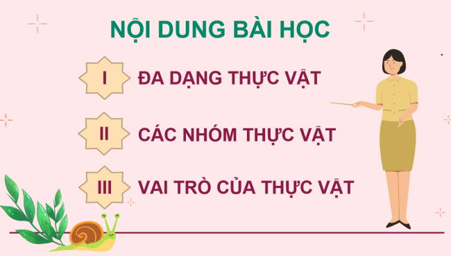 PowerPoint Khoa học tự nhiên 6 Bài 34