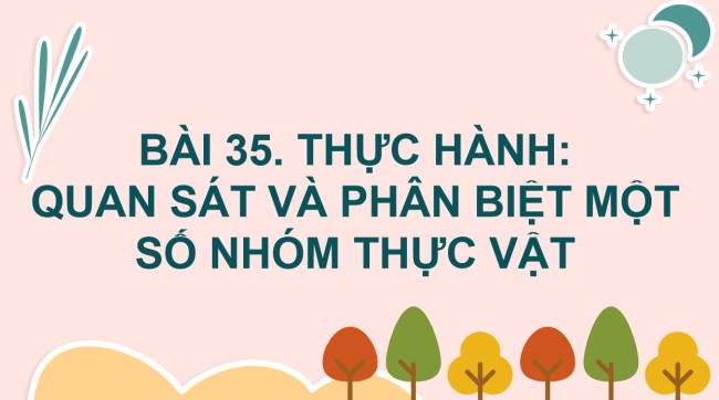 PowerPoint Khoa học tự nhiên 6 Bài 35