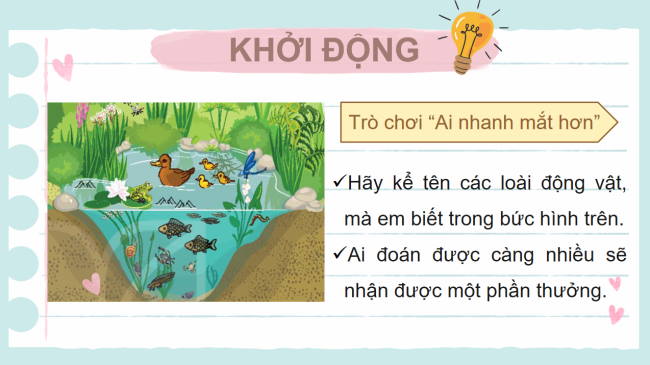 PowerPoint Khoa học tự nhiên 6 Bài 36