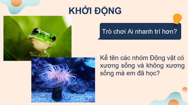 PowerPoint Khoa học tự nhiên 6 Bài 37