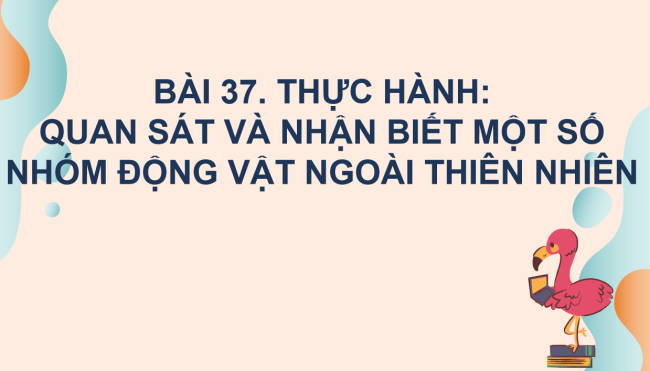 PowerPoint Khoa học tự nhiên 6 Bài 37