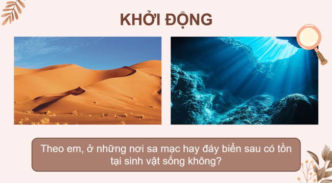 PowerPoint Khoa học tự nhiên 6 Bài 38